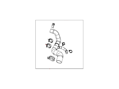 Jeep Radiator Hose - 68056029AD
