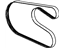 Mopar 4892562AA Serpentine Belt