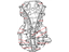 Mopar 4884482AB Phaser Camshaft
