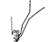Mopar 55362115AA Link, Front