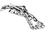Mopar 55176858AL Wheelhouse Front Inner