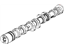 Mopar 5047646AF Camshaft Exhaust