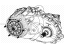 Mopar 68250776AB Transfer Case BW 48-12