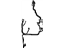 Mopar 56021032AK Wiring Body