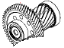 Mopar 68226154AA Output Shaft Transaxle Includes Caged Bearings