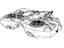 Mopar 5147177AC Tank Fuel