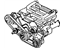 Mopar 4573013AB Belt Alternator And Power Steering