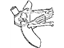 Mopar 56005164 Window Motor