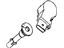 Mopar 68011844AA Coil Ignition