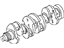 Mopar 68034265AB Crankshaft See Note
