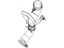 Mopar 52014895AC Hose Radiator Outlet Includes Clamps