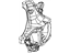 Mopar 68217027AA Knuckle Front