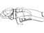Mopar 68089282AD Shield Fuel Tank Heat