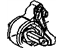 Mopar 52855539AE Front Mount, Driver Side