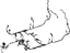 Mopar 68207404AC Wiring Body