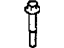 Mopar 5086865AA Water Pump Screw