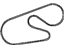 Mopar 4892173AA Serpentine Belt