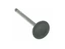 Intake Valve, Engine Intake Valve