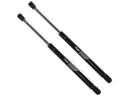Ram Trunk Lid Lift Support